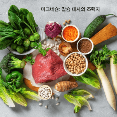 골다공증 영양제 추천|칼슘·비타민D·마그네슘 (2025 최신)