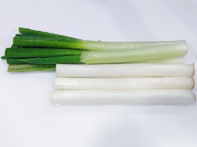 세균의고밀도 관리 대파뿌리