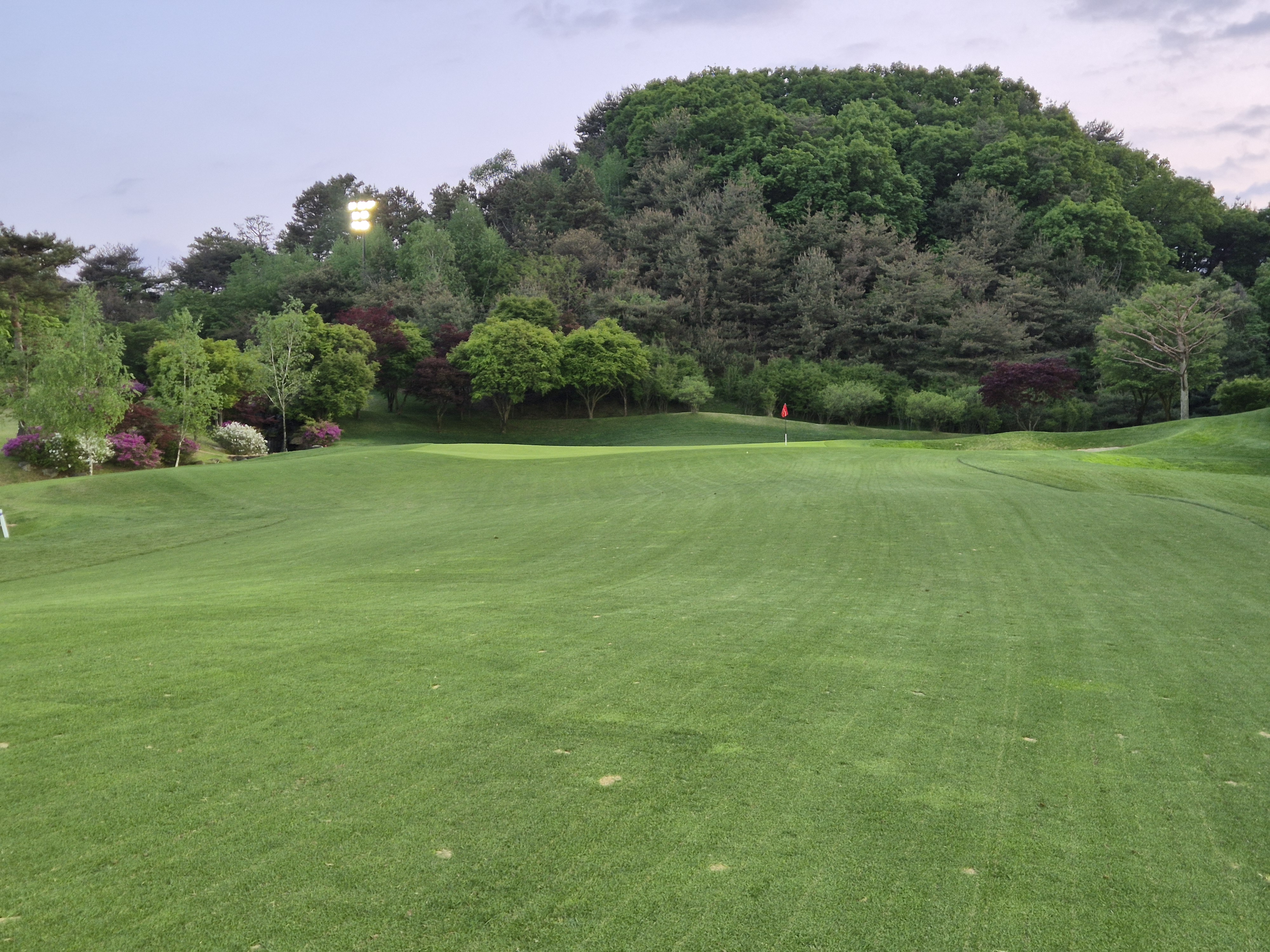 베어크리크cc 크리크코스