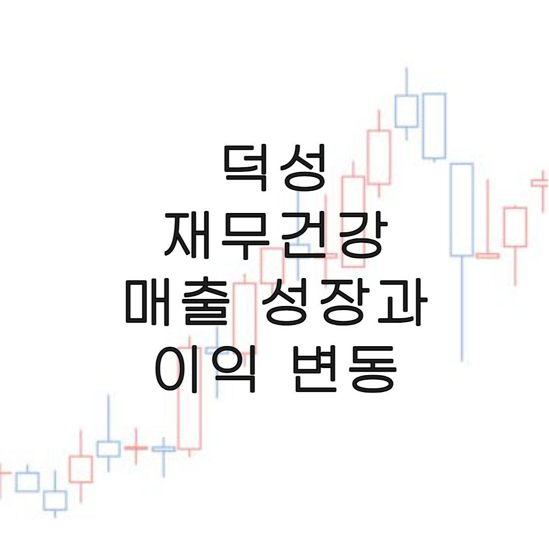 주식-덕성-재무분석