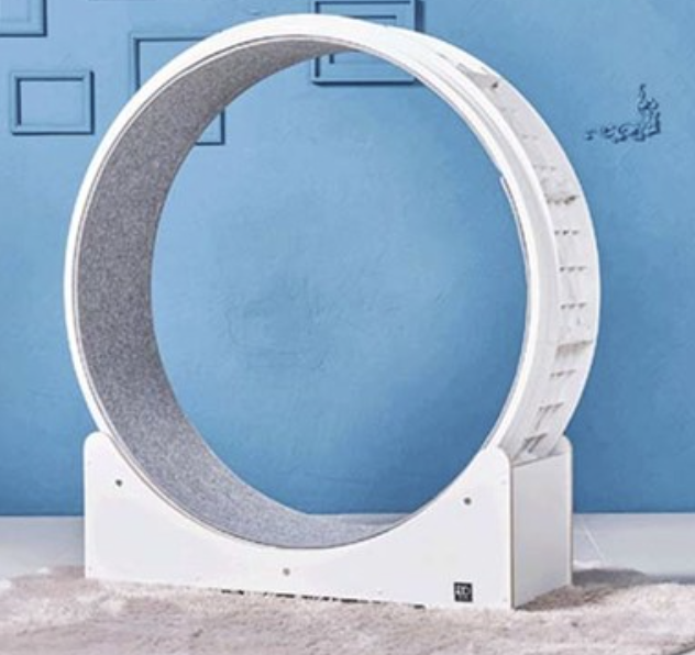 고양이 캣휠 추천 1