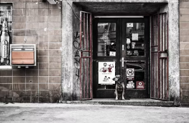 소상공인 사업자대출 자격 이자 환급