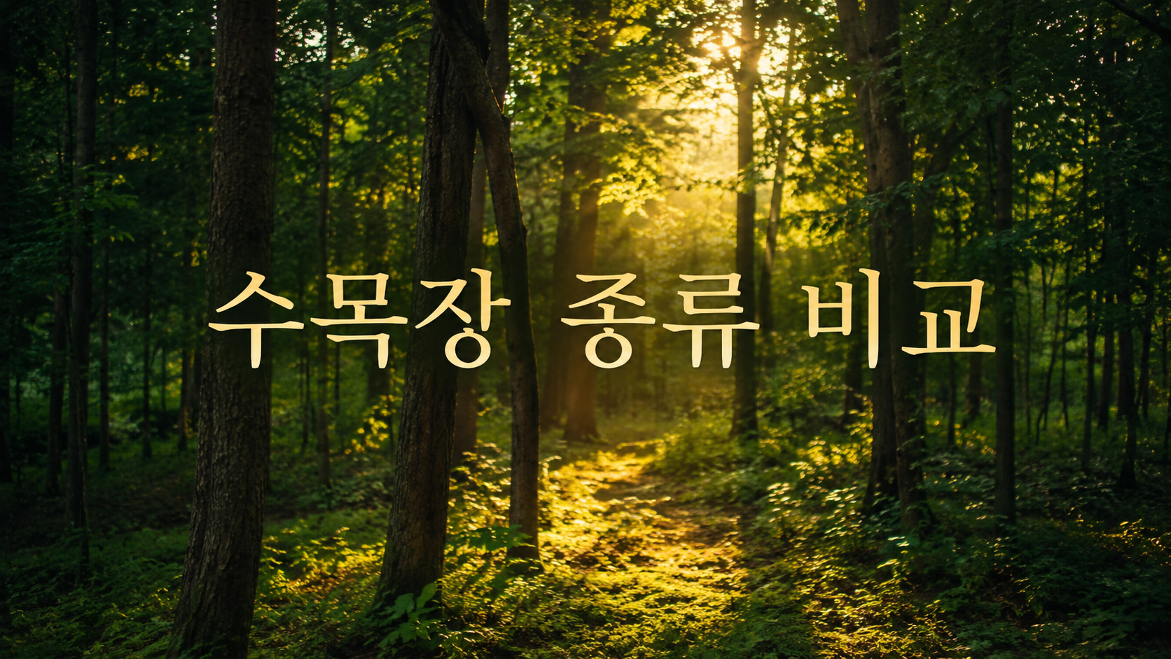 수목장 종류별 비교 &mdash; 잔디장&middot;자연장 차이와 비용 총정리