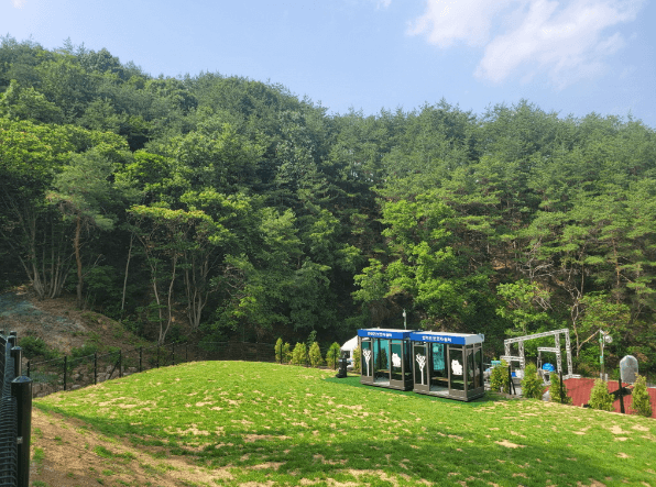 국립 김천숲속 야영장