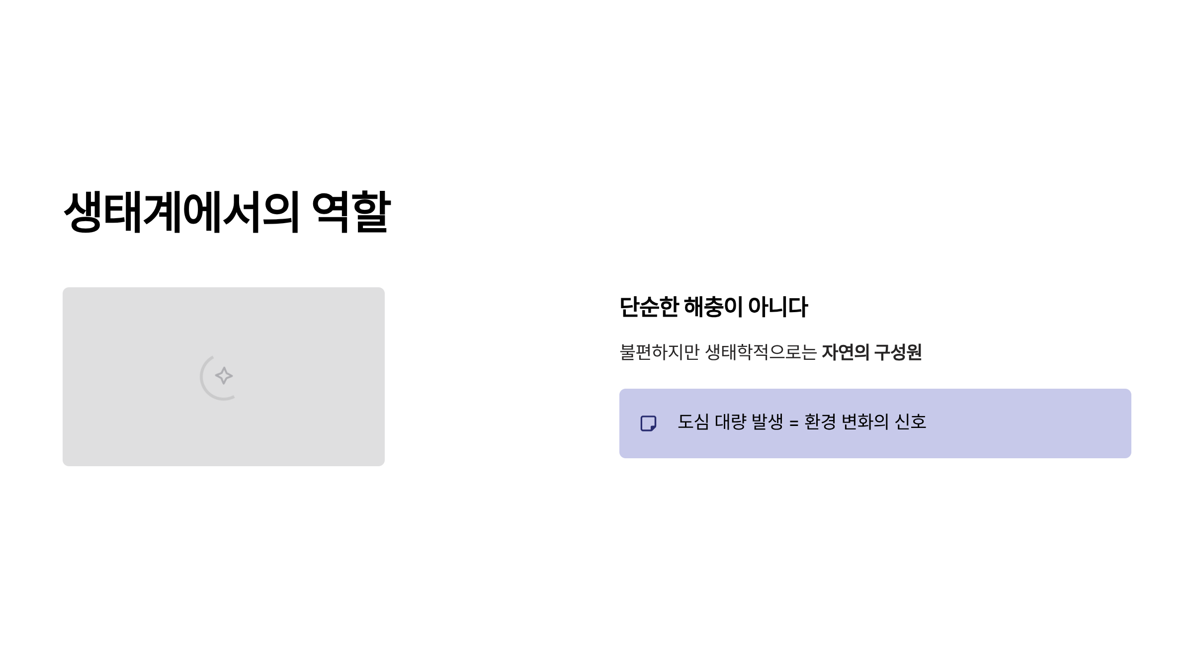 러브 버그