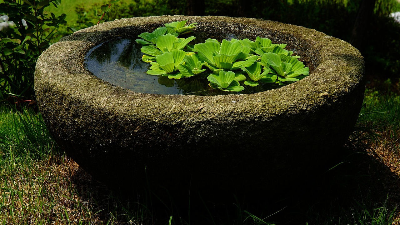 우리 지역 농업인 수당도 다르다? 지역별 차이 한눈에 보기