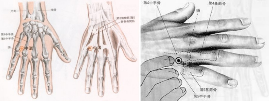 인체의 365혈 중에서 손등에 위치를 하고 있는 중저혈의 해부학적인 위치를 표시를 한 그림 사진