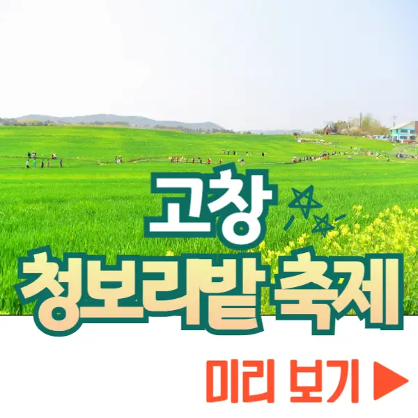 고창 청보리밭 축제