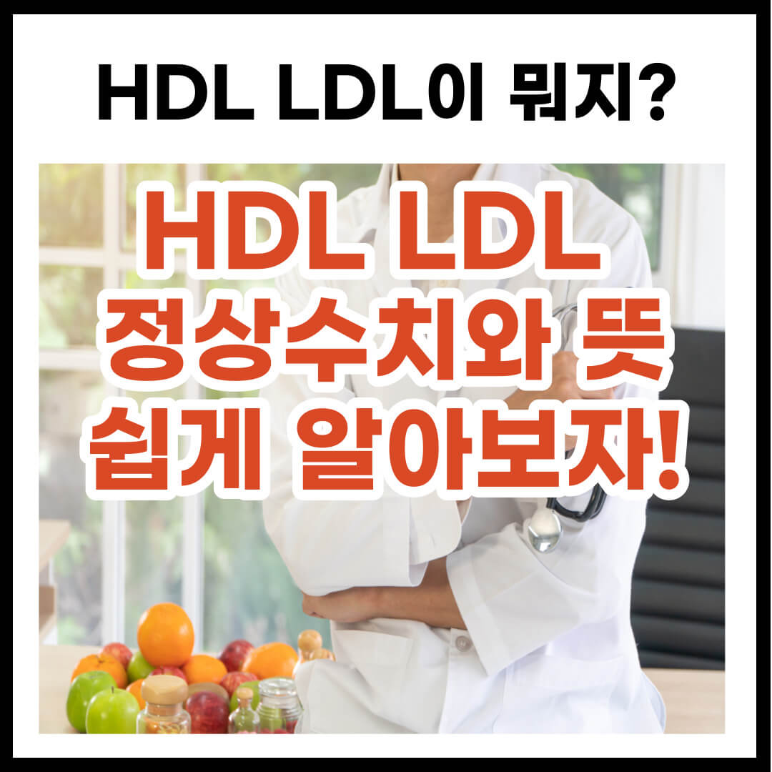 HDL LDL 콜레스테롤 정상수치와 뜻