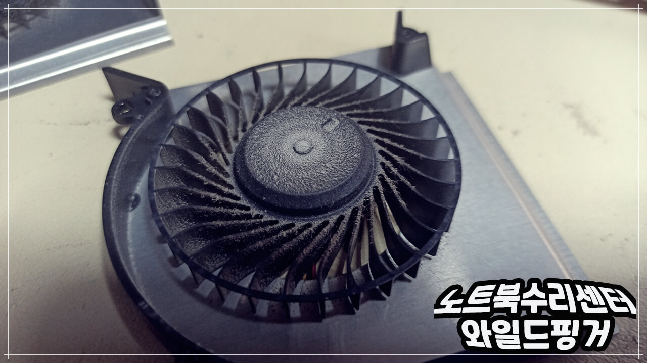 먼지 많은 팬 2