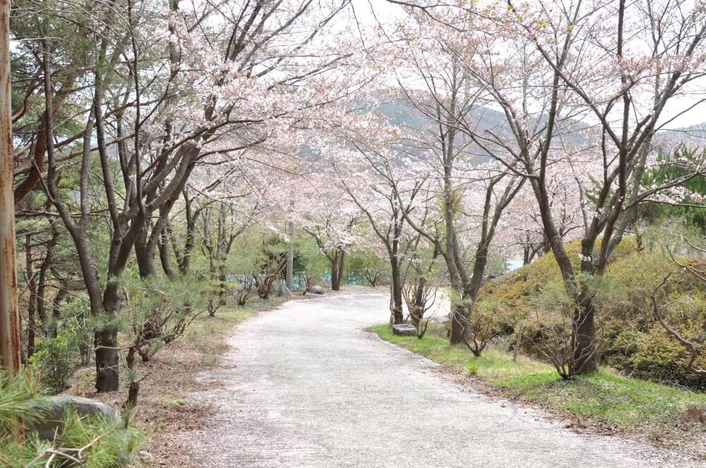 산청 방목리 카페
