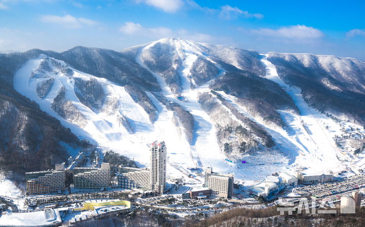 휘닉스 스노우파크