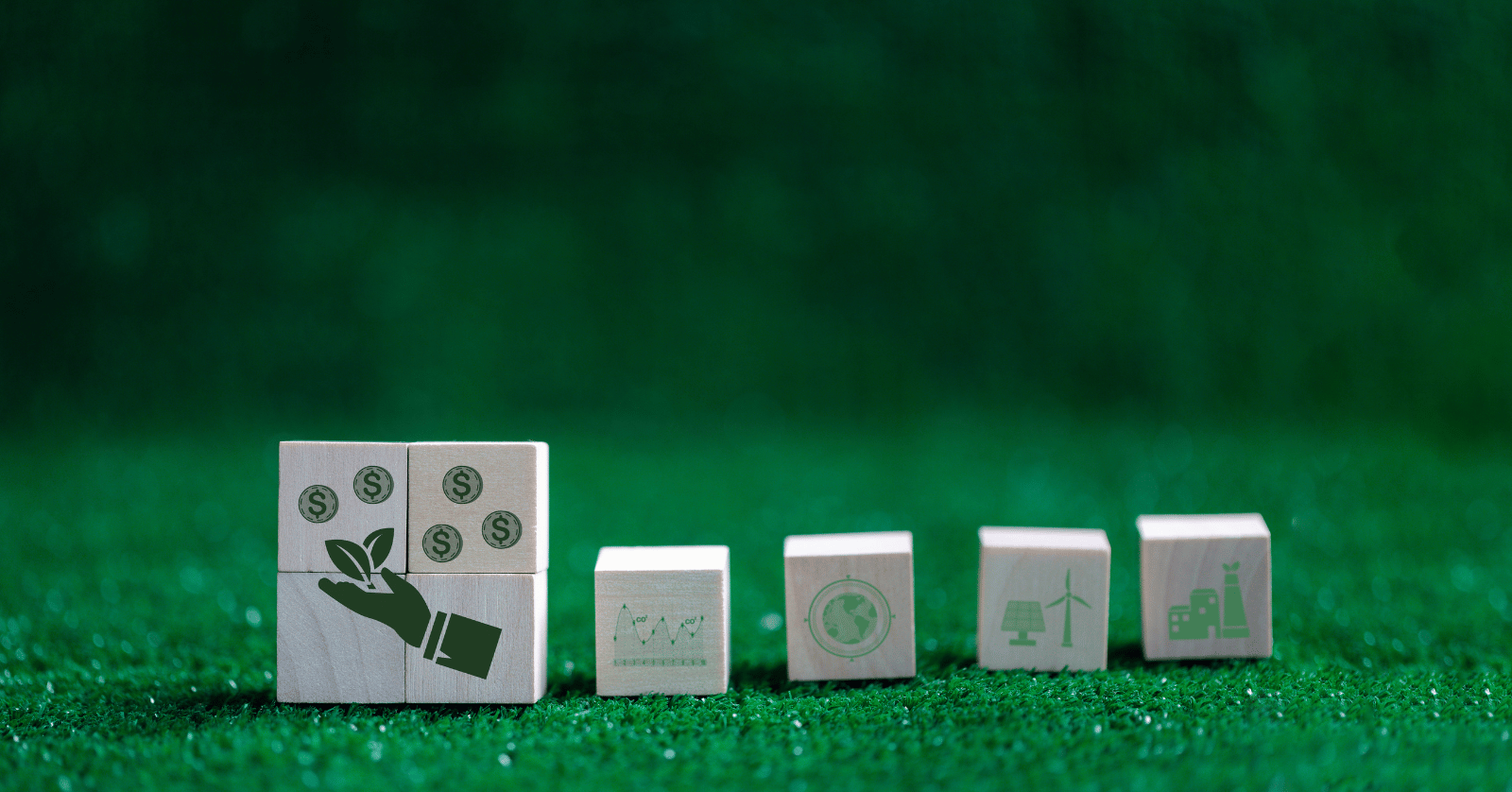 후불 기후동행카드