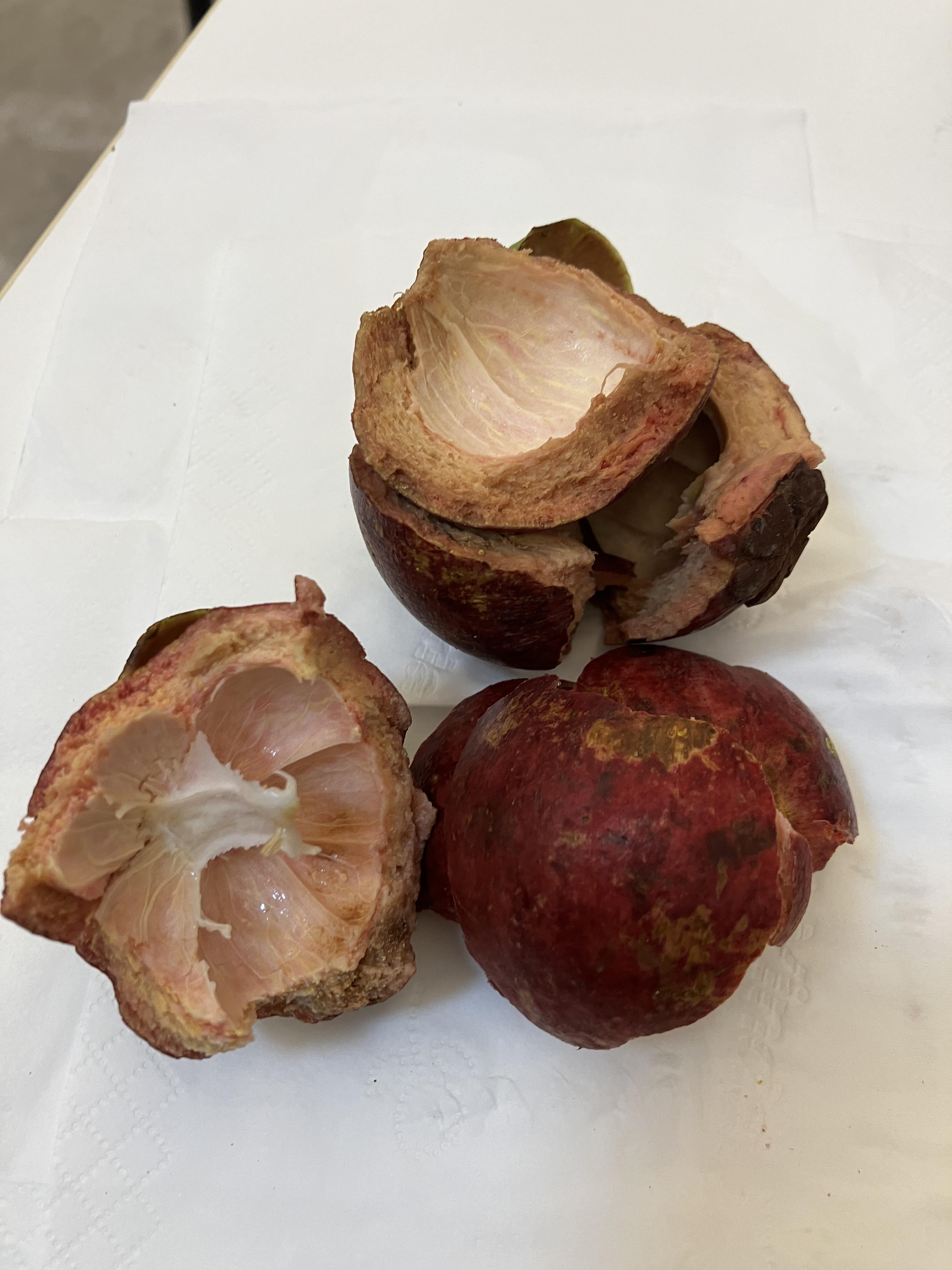 망고스틴 내돈내먹