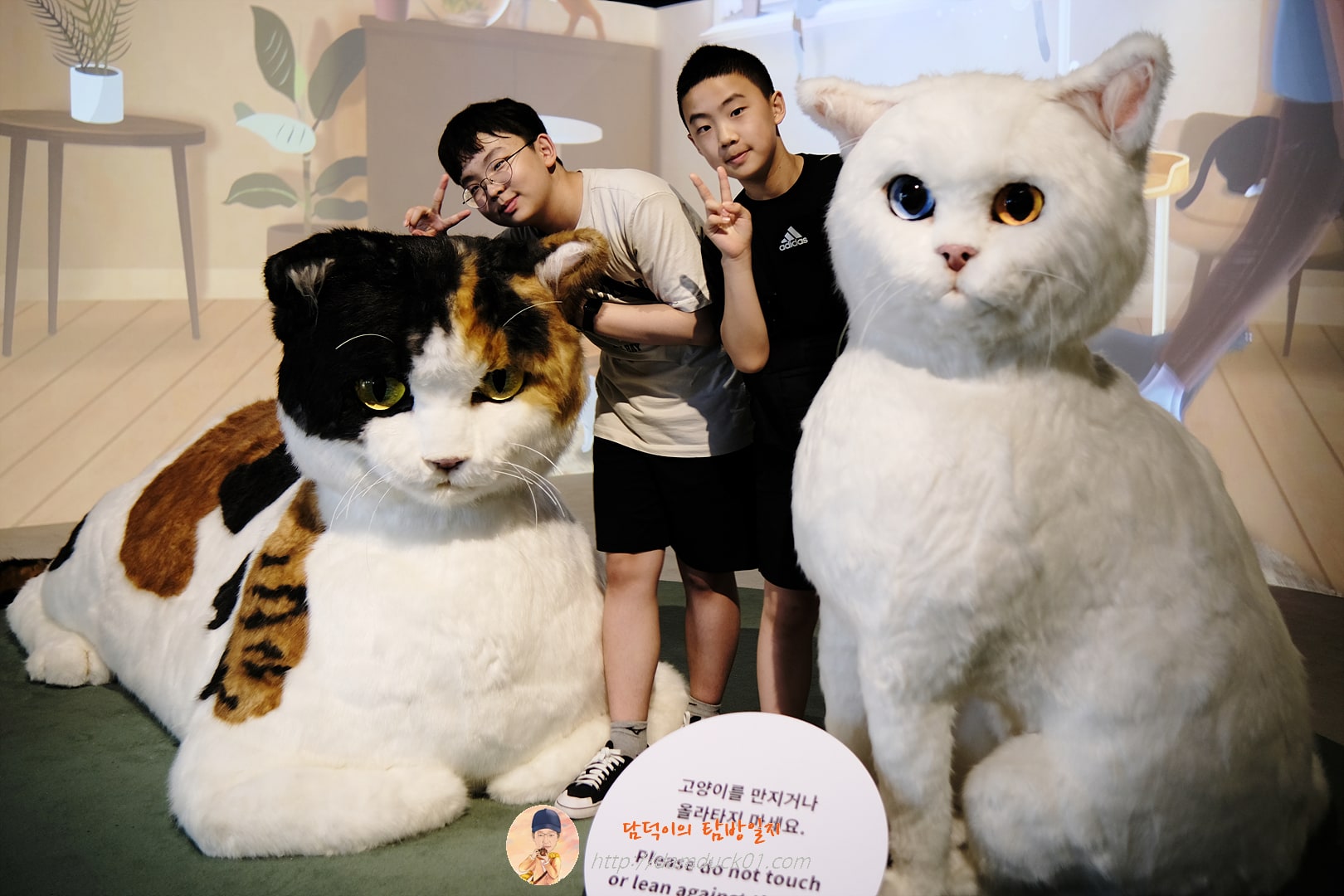 안방을 차지한 고양이