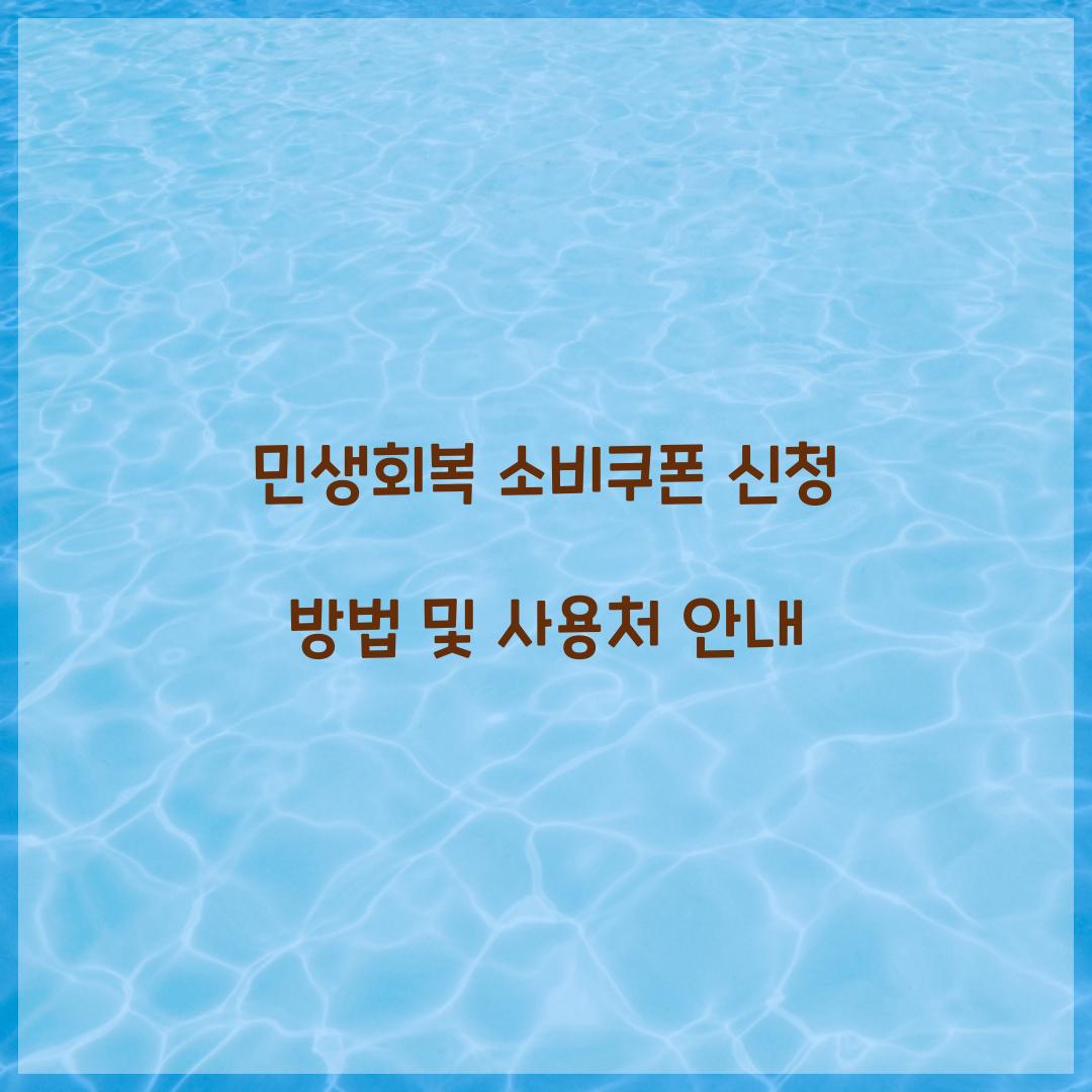 민생회복 소비쿠폰