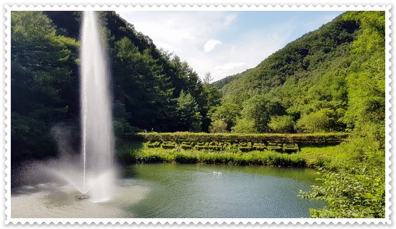 대전 근교 트리하우스