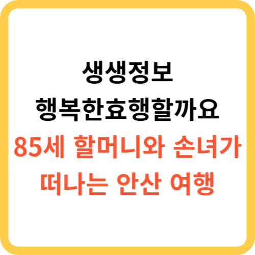 생생정보 행복한효행할까요 85세 할머니와 손녀가 떠나는 안산 여행 썸네일