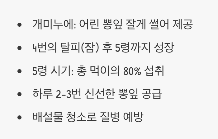 24시간 먹방 요정, 애벌레 시기