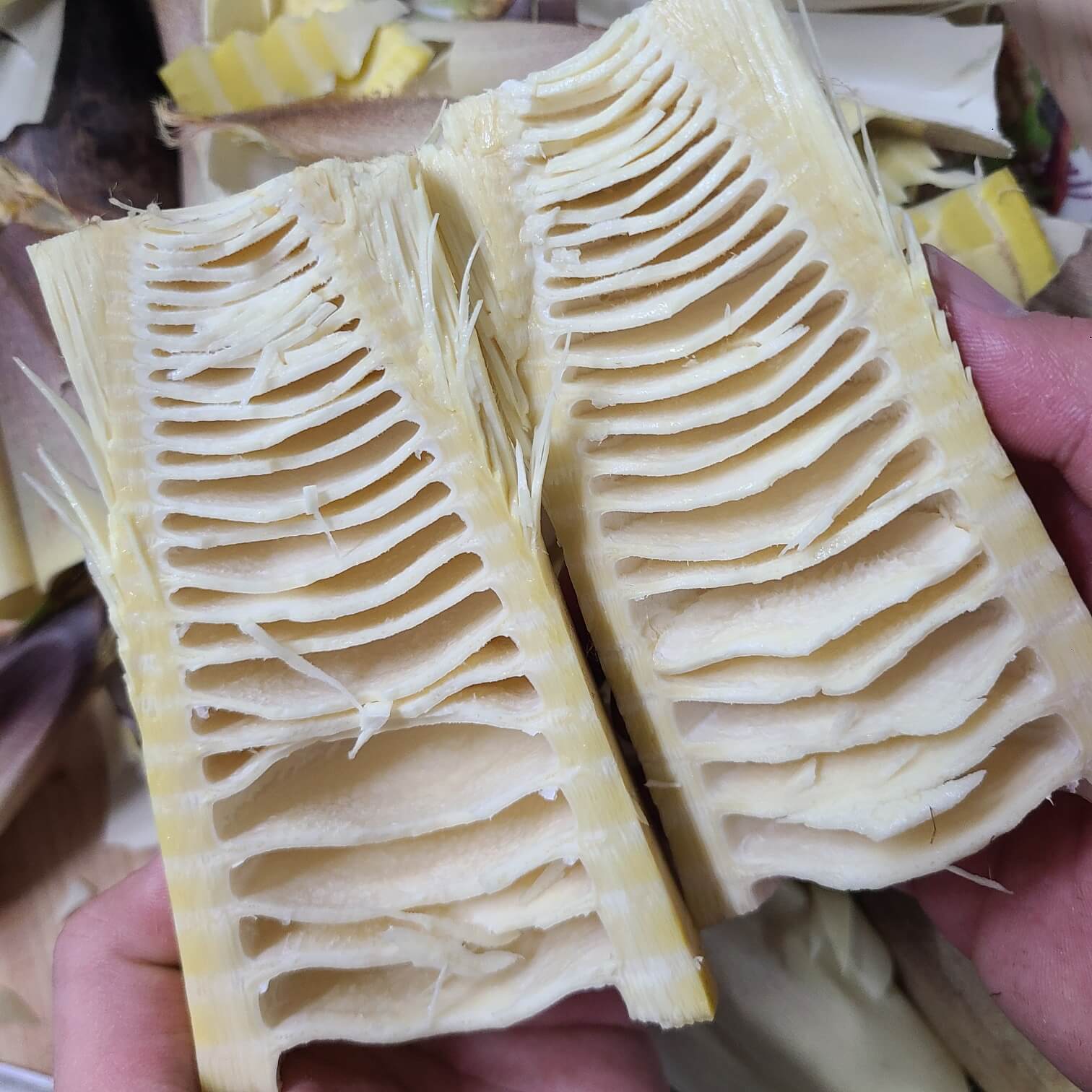 죽순요리 죽순볶음 죽순 효능 죽순손질 죽순삶기 죽순나물 죽순시기 죽순이 죽순산장 죽순 요리법 죽순 채취시기 죽순나물 만드는법 죽순 삶는법 죽순 요리 죽순 볶음 죽순 장아찌 만드는법 죽순 보관방법 죽순 요리 모음 죽순 통조림 보관 죽순 초무침 죽순캔 죽순테타 죽순효능 죽순과자 죽순 수프 죽순마을 죽순김치 죽순 영어로 죽순피하기 죽순 통조림 죽순밥 죽순테타 뜻 죽순나오는시기