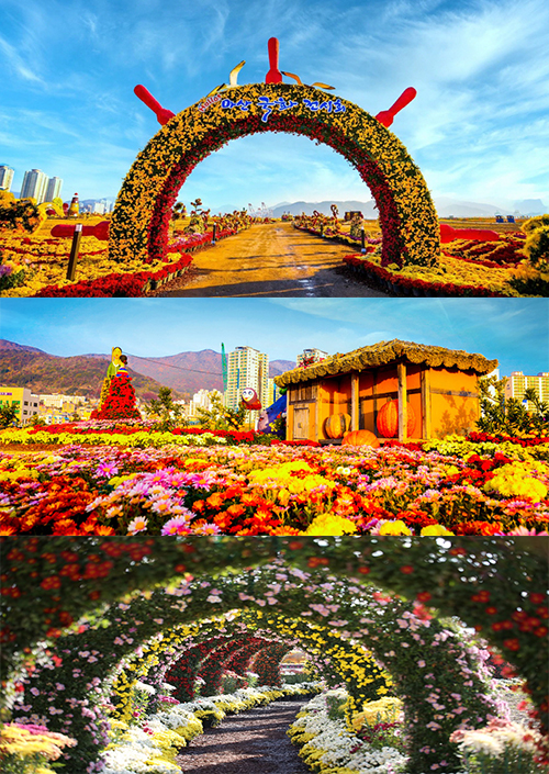 마산국화축제