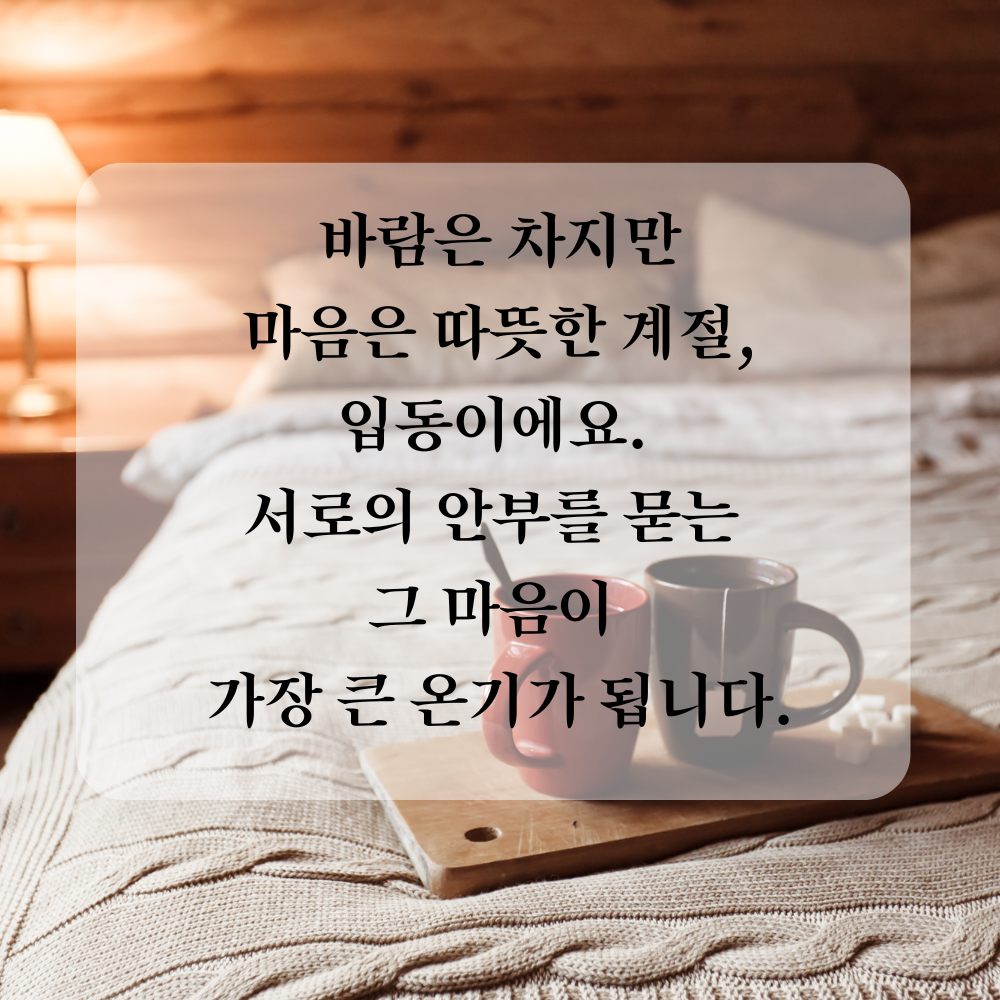 11월 인사말 입동 인사 이미지 문구 사진 그림 모음집