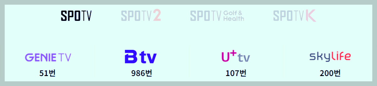 스포티비 채널