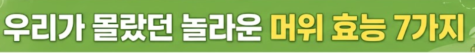 머위 효능