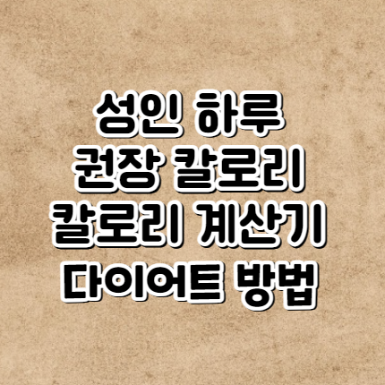 성인 하루 권장 칼로리(칼로리 계산기를 통한 올바른 다이어트와 활동 수준에 맞는 섭취량)