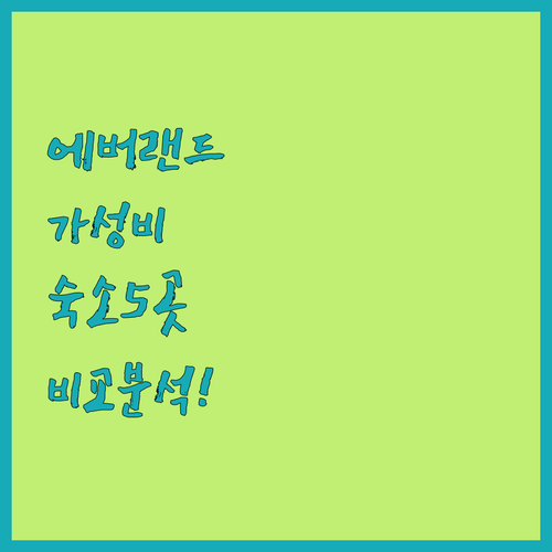 용인 숙소 추천 에버랜드 근처 가성비..