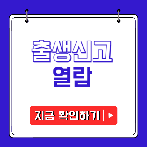 출생신고 열람에 관한 포스팅