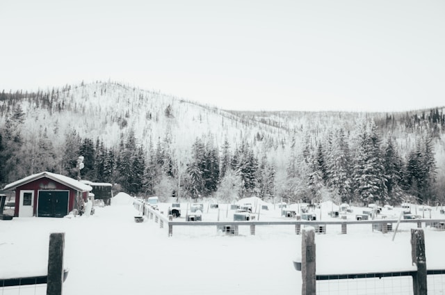 실시간 고속도로 CCTV 눈길 상황 확인 완벽 가이드