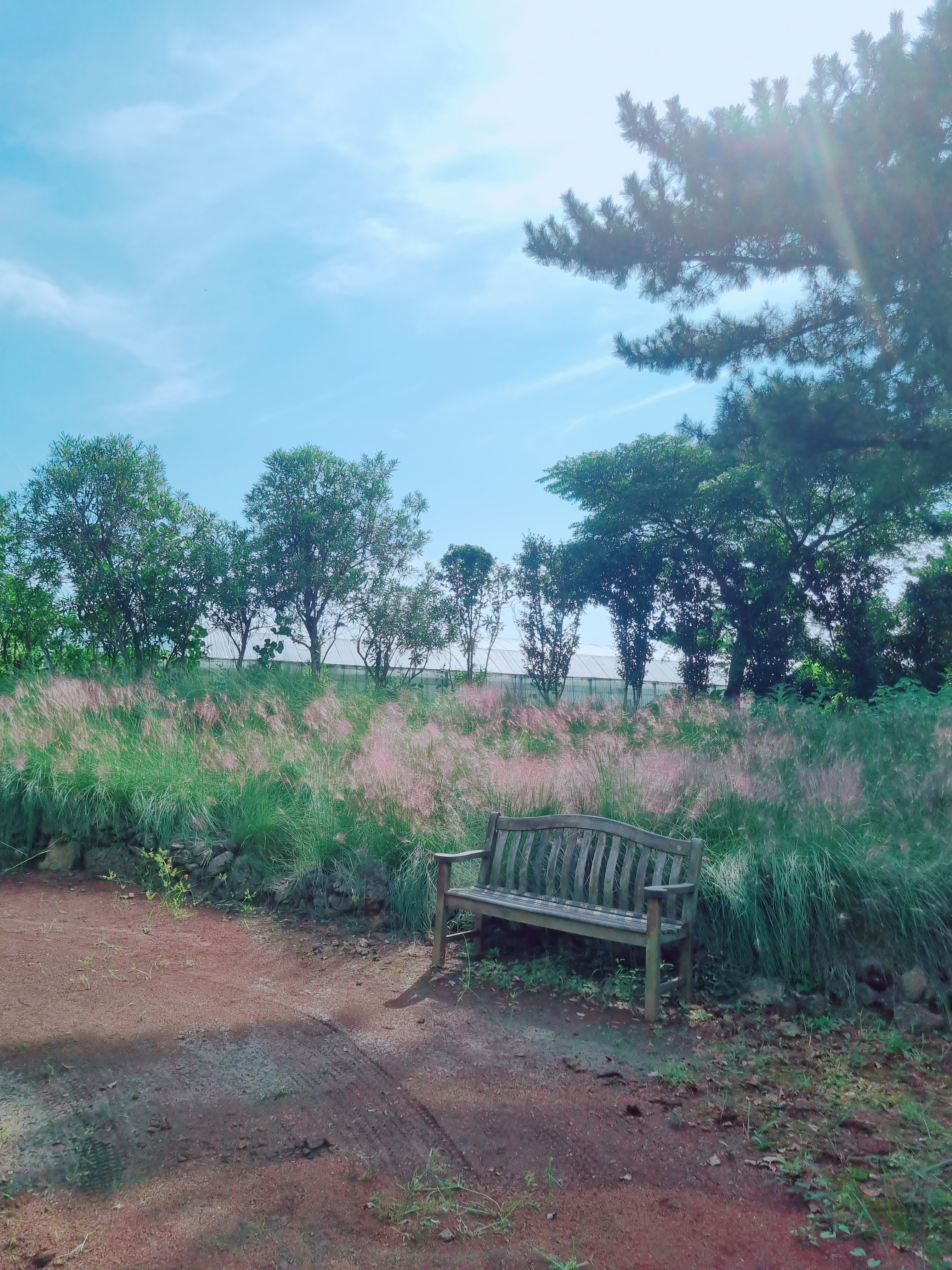 노리매공원