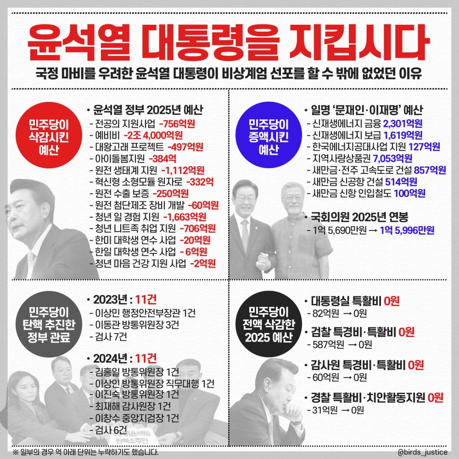 비상계엄 이유