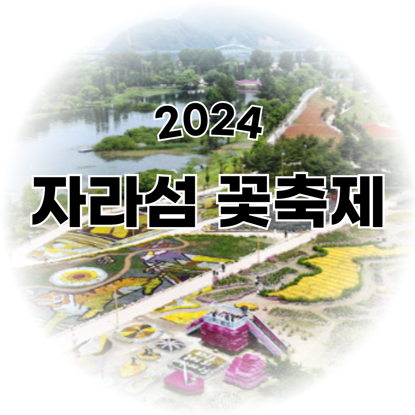 자라섬 꽃축제 2024 자라섬 꽃페스타 입장료, 기간, 할인혜택(+주차팁, 반려동물놀이터)