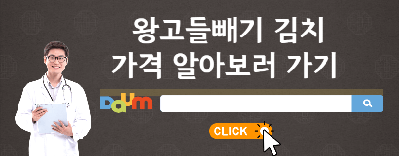 왕고들빼기
