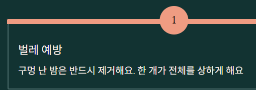 밤 보관하는 방법