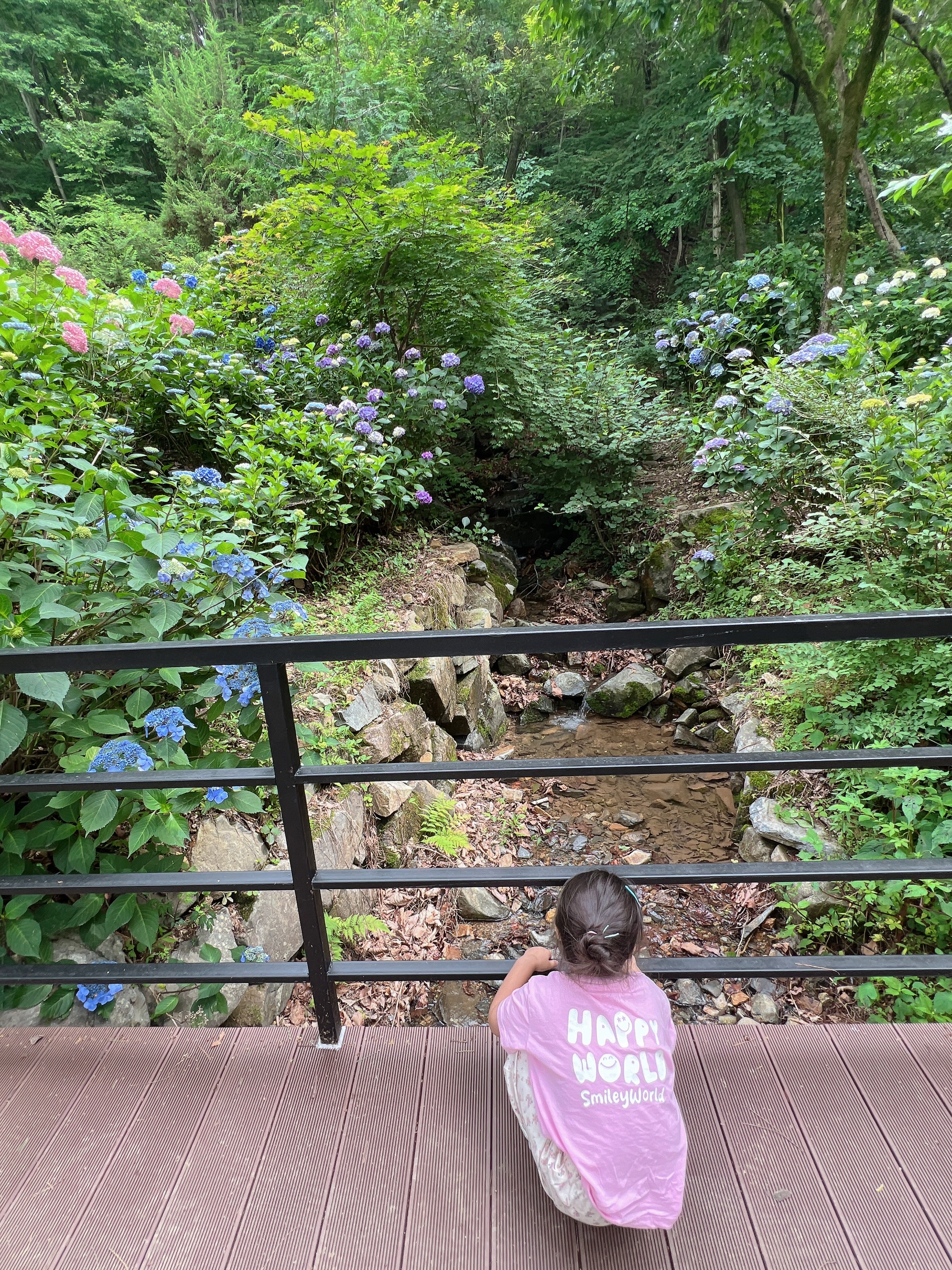 어실정원 시작카페, 양산카페, 양산가볼만한곳, 양산아이와가볼만한곳, 어실정원, 양산어실정원,