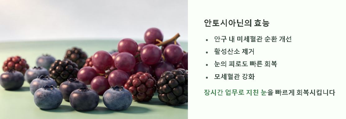 눈에 좋은 음식 10