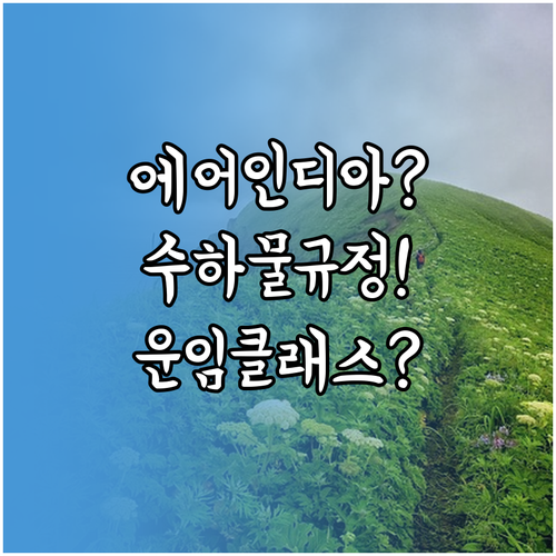 에어인디아 수하물 규정, 출발 전 운..