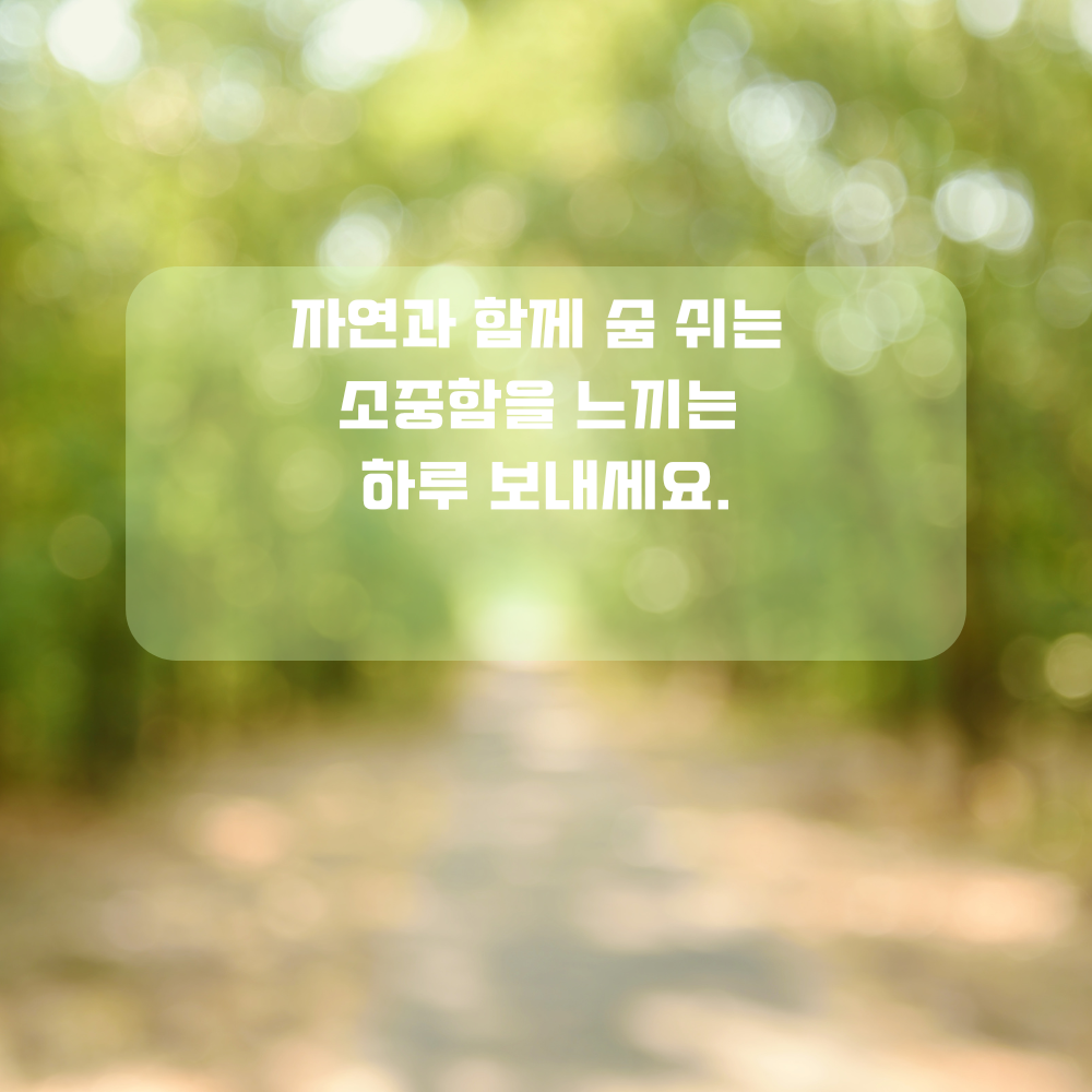 4월 인사말 식목일 인사글귀 좋은 글 문구 나무 숲 사진 이미지 모음집