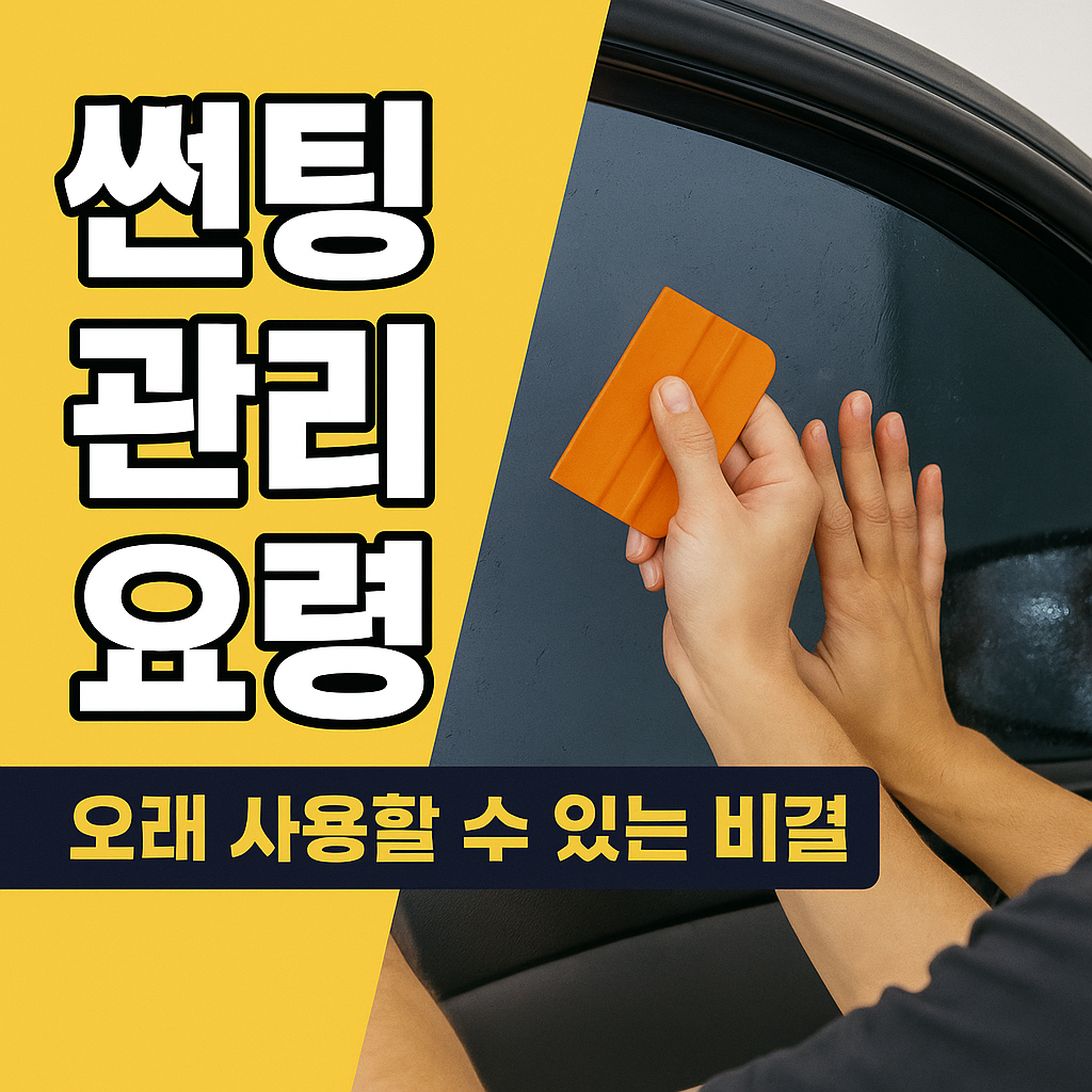 자동차 썬팅 관리하는 사람