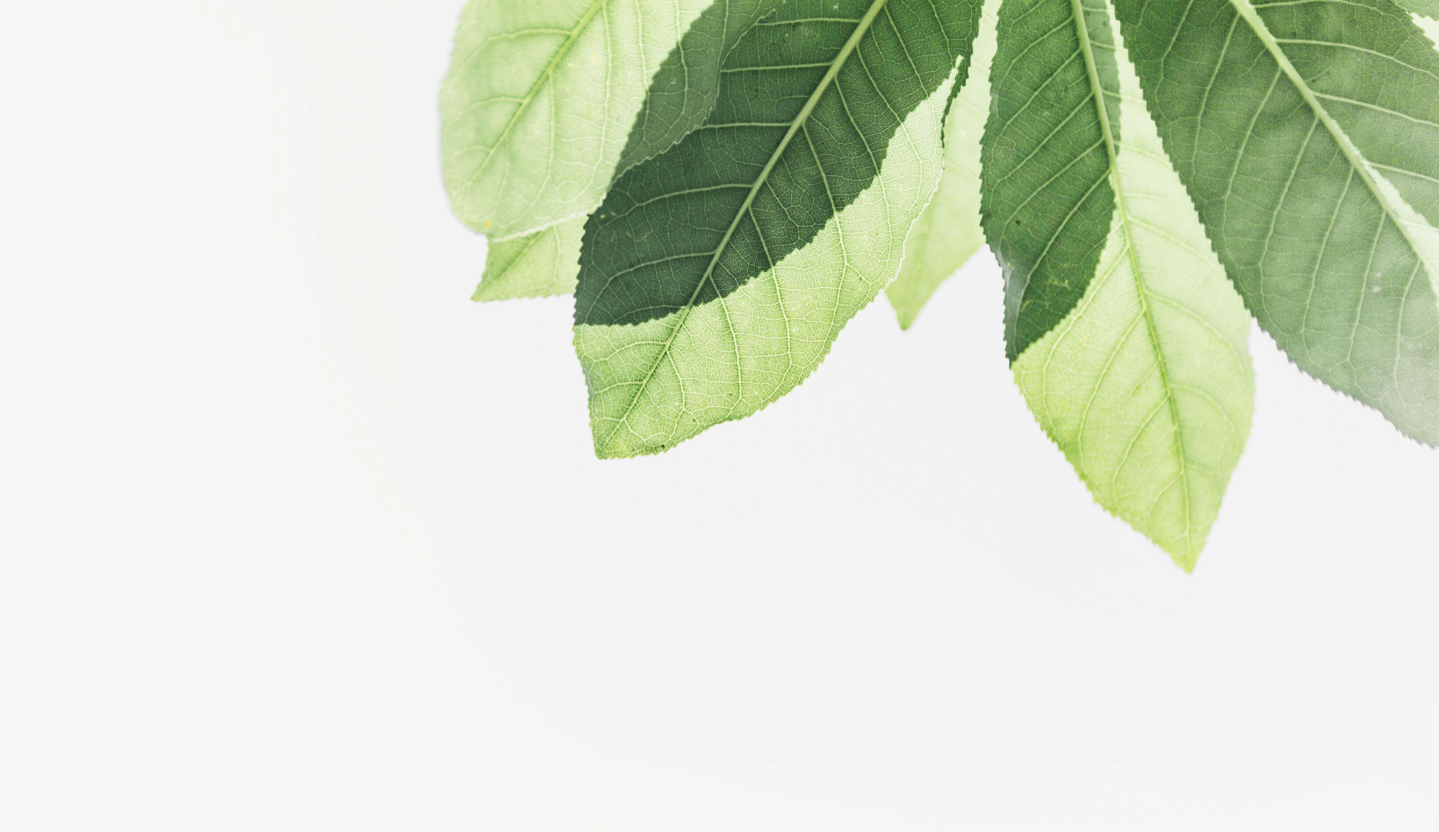 환경개선 부담금 연납할인