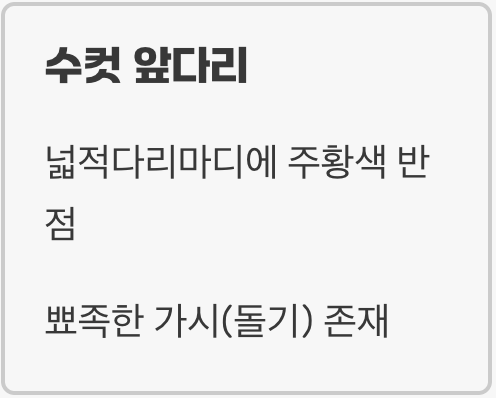 숨겨진 단서, 앞다리 넓적마디의 '가시'