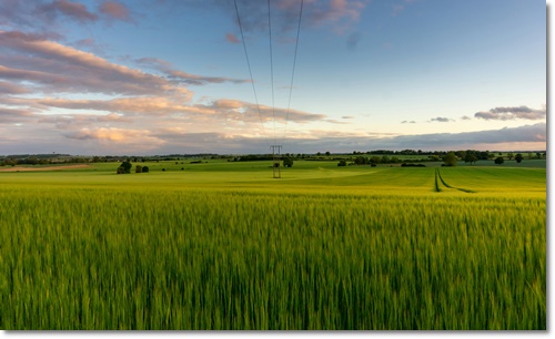 고창 청보리밭 축제 입장료 가는길 주차
