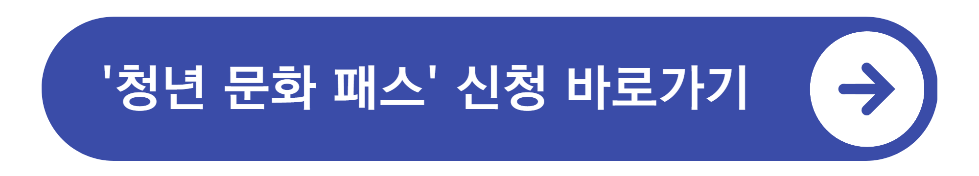 청년문화패스