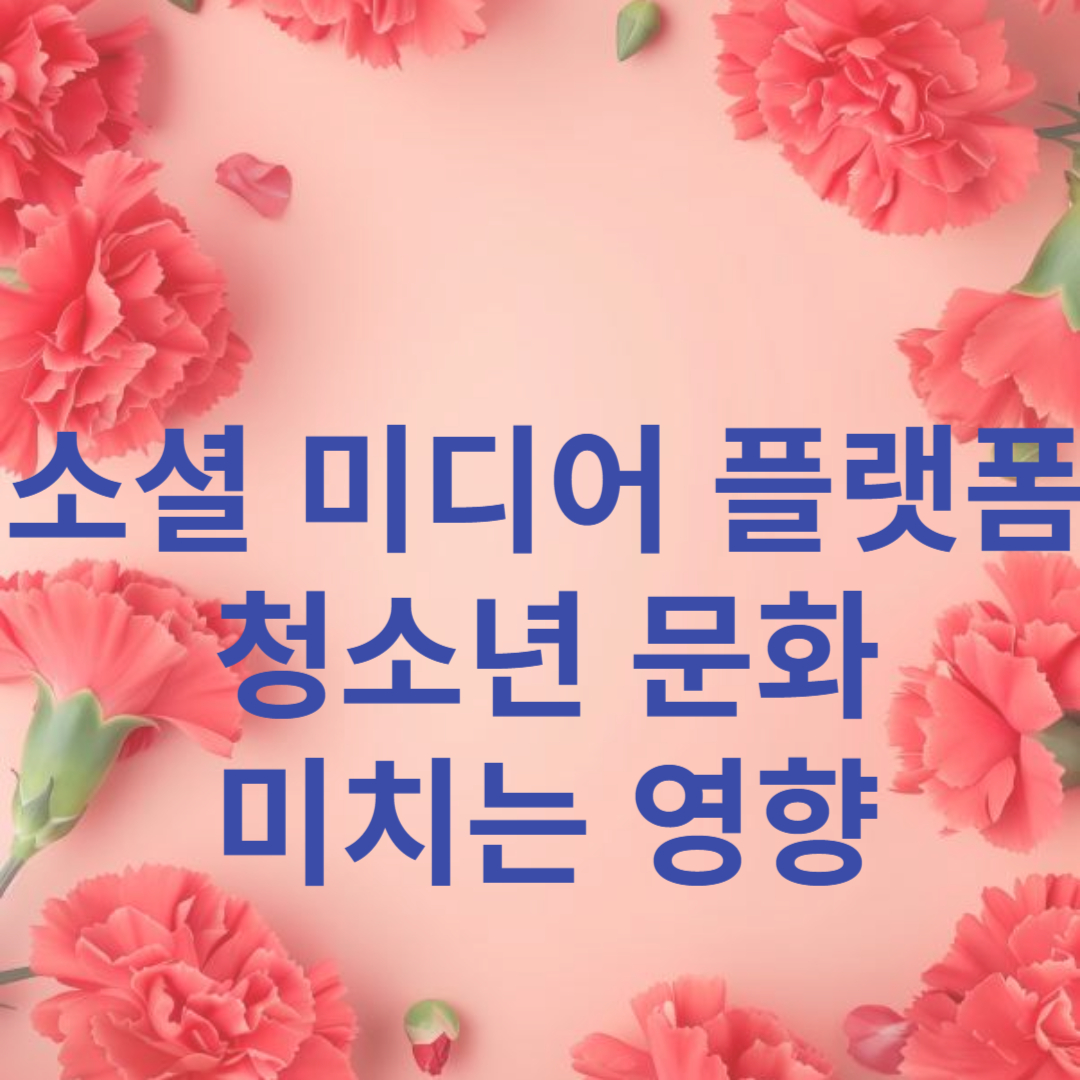 소셜 미디어 플랫폼