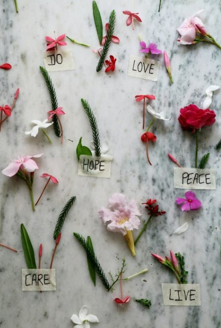 2025 청년희망적금 신청 방법 총정리