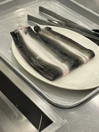 민물장어 가격 효능 민물장어 바다장어 차이 종류_5