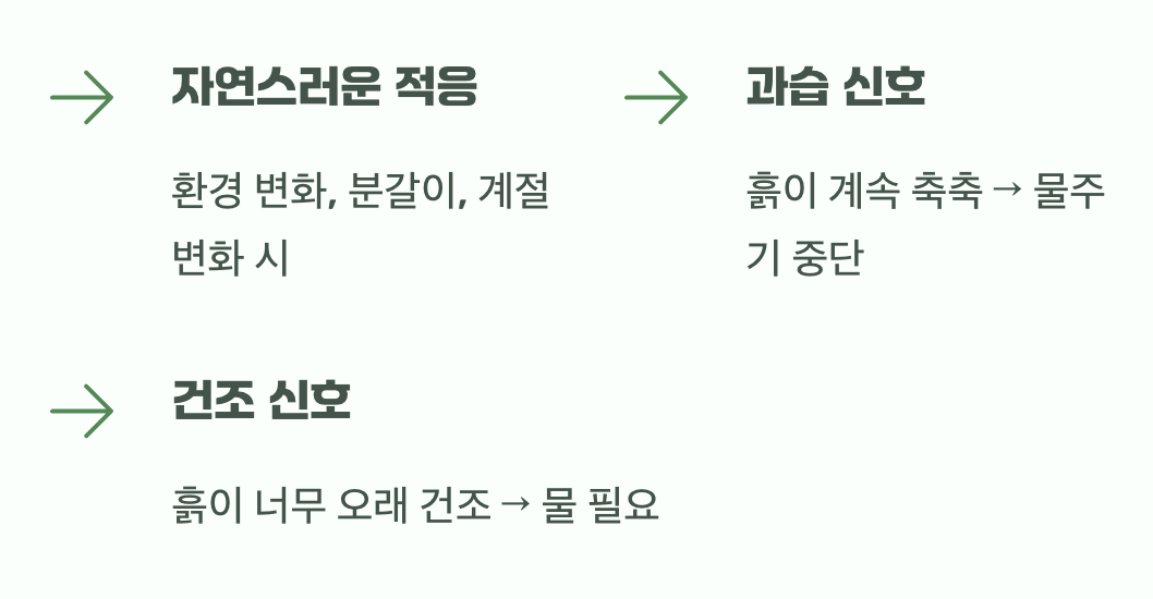 노란 잎이 떨어지는 이유